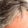 foto do perfil grisalhomaduro